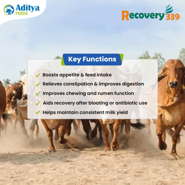 Recovery 339 Key Functions