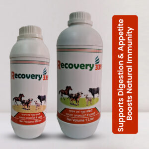 Recovery-339