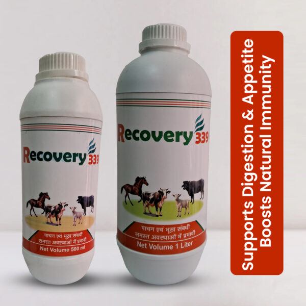 Recovery-339
